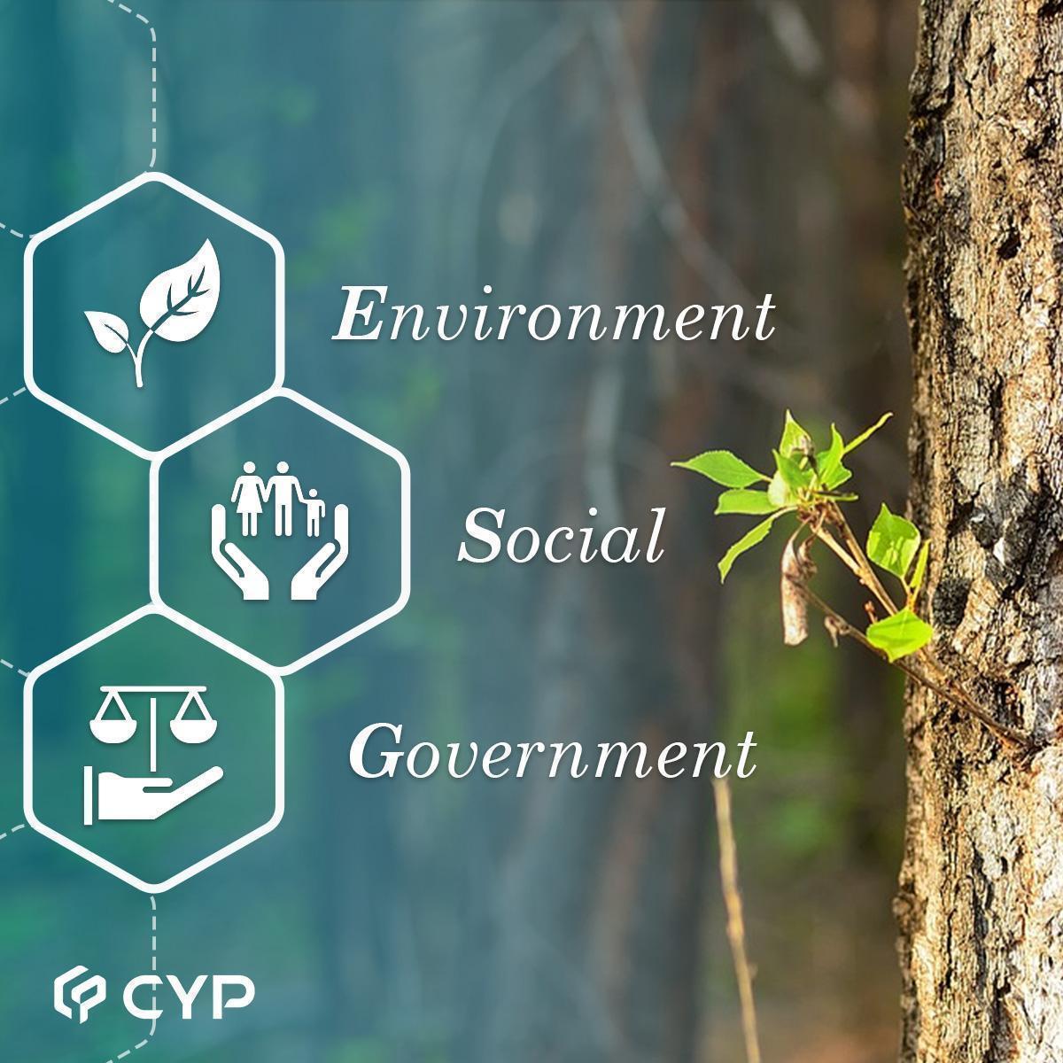 Cypress откажутся от бумажных инструкций Cypress откажутся от бумажных инструкций